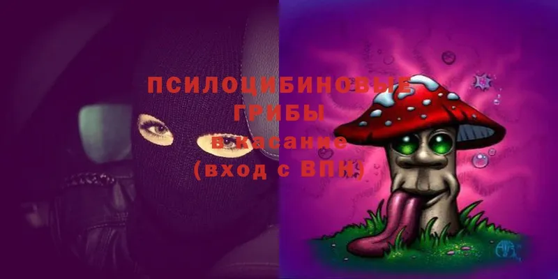 Галлюциногенные грибы Cubensis  Бавлы 